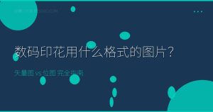 数码印花用什么格式的图片?矢量图vs位图完全指南