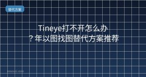 Tineye打不开怎么办?2026年以图找图替代方案推荐